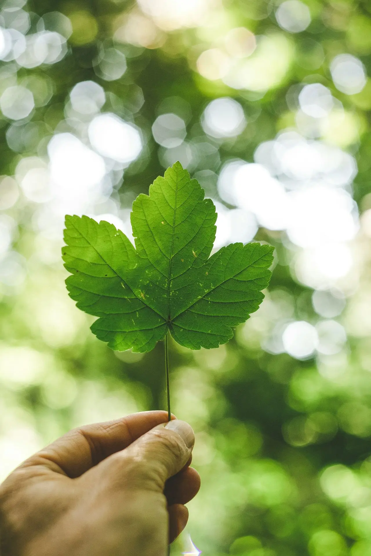 Environmental Aspects & Impacts Management